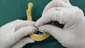 BLE Multi-unit Abutment Protective Cap