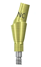 RC Cementable Abutments