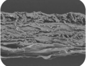 Dental Collagen Membrane