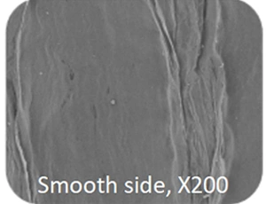 Dental Collagen Membrane