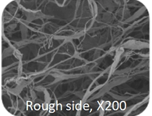 Dental Collagen Membrane