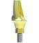 RP Angled Abutments