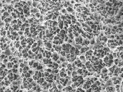 Multi-level microporous structure