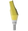 RP Angled Abutments for Single Crowns